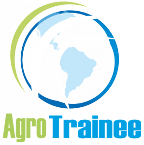 Стажировка за границей