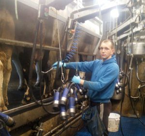 Практика в Дании