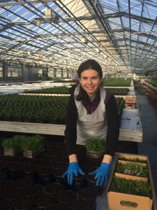 Практика в Дании