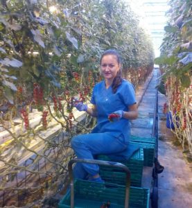 Практика в Дании