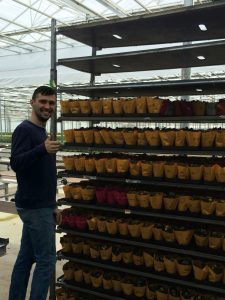 Практика в Дании