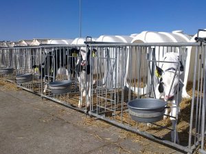 Практика в Дании