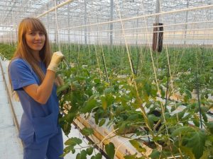 Практика в Дании