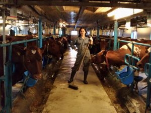 Практика в Дании