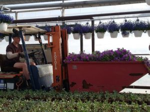 Практика в Дании