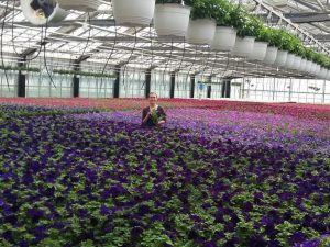 Практика в Дании