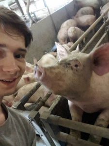 Практика в Дании