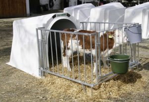 Практика в Норвегии