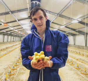 Стажировка в Дании