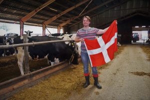 Стажировка в Дании