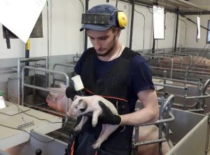 Работа в Финляндии