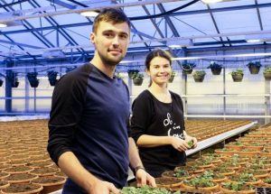 Норвегия сезонная работа