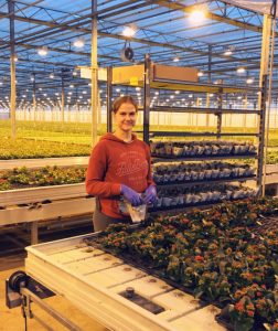 Норвегия сезонная работа