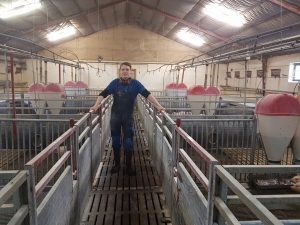 Практика на свиноферме