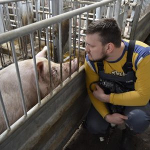 Стажировка в Дании