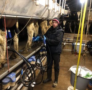 Практика в Германии