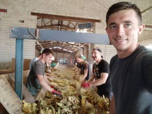 Практика в Германии