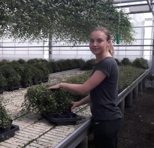 Норвегия сезонная работа