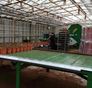 Стажировка в Дании