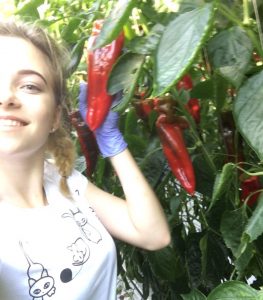 Работа на Норвегии