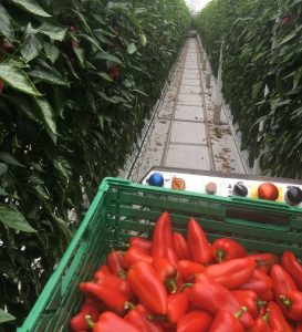 Работа на Норвегии