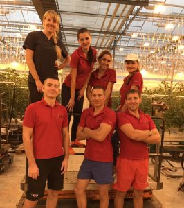 Стажировка в Дании