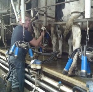 Стажировка в Дании