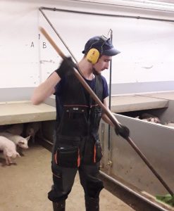 Работа в Финляндии