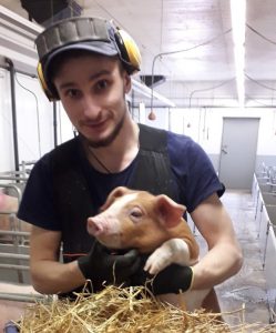 Работа в Финляндии