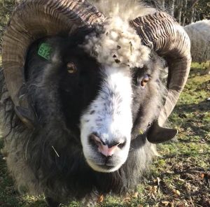 Работа в Норвегии