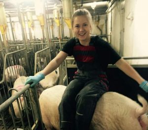 Работа в Дании