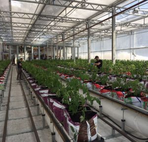 Работа в Финляндии