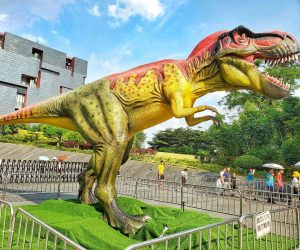 Работа в Новой Зеландии