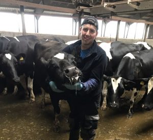 Стажировка в Дании