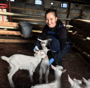 Стажировка в Дании