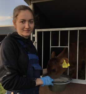 Стажировка в Дании