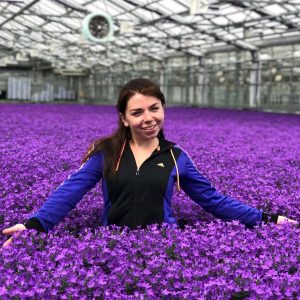 Стажировка в Дании