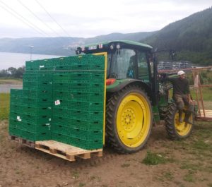 Сезонная работа в Норвегии