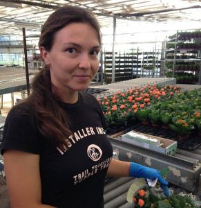 Работа в Дании