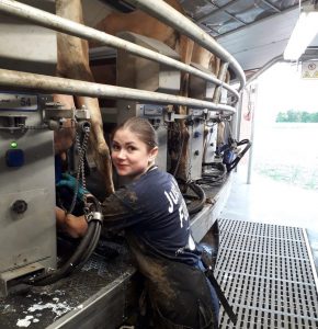 Работа на фермах