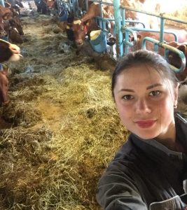 Работа на фермах