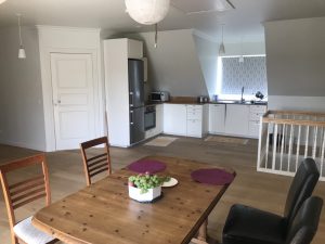 Стажировка в Дании