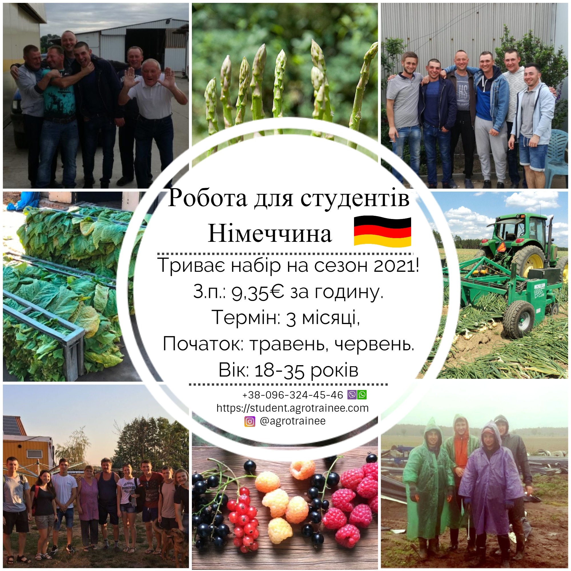 Сезонная работа в Германии - AgroTrainee