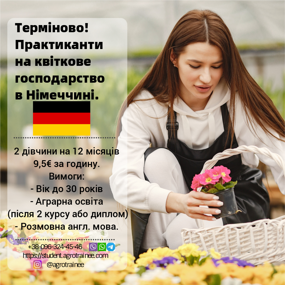 Практика в Германии, цветы - AgroTrainee