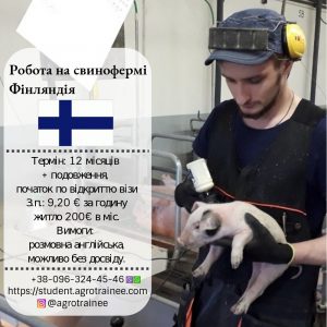 работа в финляндии