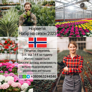 Сезонная работа в Норвегии